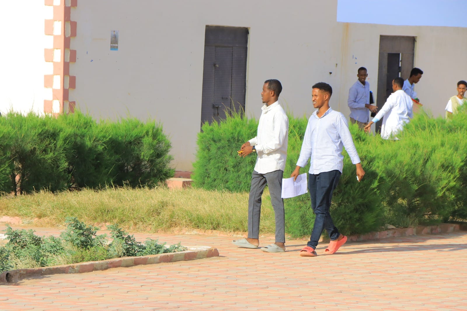 Faculty of Sharia & Law