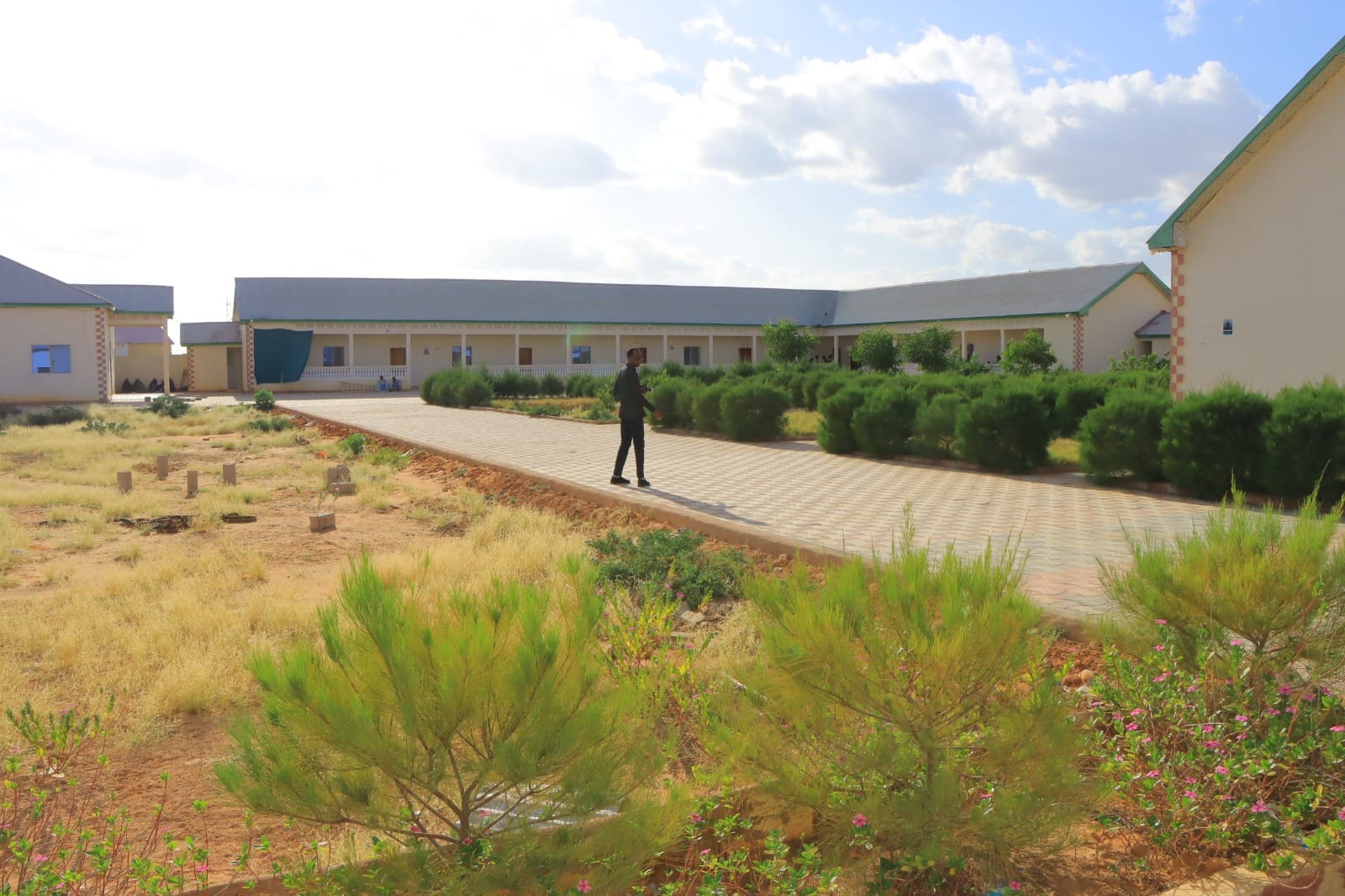 Campus view 4